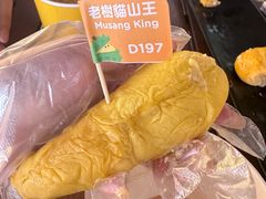 -榴莲BB 四季果园