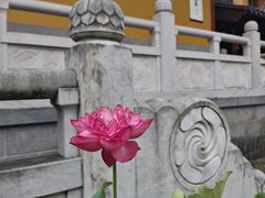 -灵谷景区