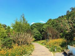 -云溪植物园