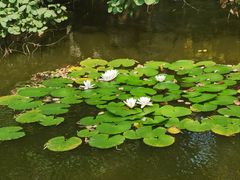-淄博聊斋城景区