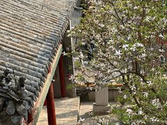 -潭柘寺景区