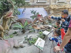 -国家自然博物馆