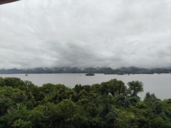 -浔味·山屿湖·正宗淳牌全鱼宴老字号