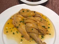 特色葱油鸡-东方明珠老上海8号餐厅(东方明珠广播电视塔店)