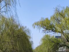 -元大都城垣遗址公园