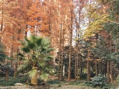 -苏州河梦清园环保主题公园