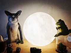 -梵几(东信·和创园店)