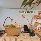 藏在大市口文艺风满满的餐厅✨