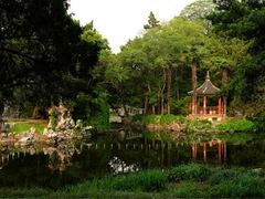 -叶家花园