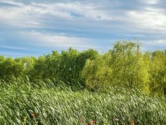 -永定河休闲森林公园
