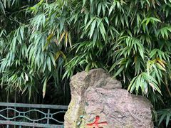 -杭州黄龙洞