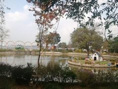 -鹅湖玫瑰文化园