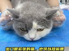 -哆趣宠物医院·眼科·内镜·急重症转诊中心(上海店)