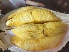 -都念榴莲·城市榴莲