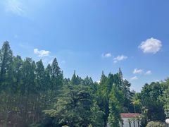 -上海虹桥迎宾馆