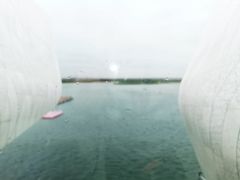 -贝林大翅鲸简餐厅(国家海洋博物馆店)