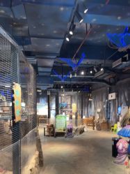 -酷嗒动物文化乐园(cutezoo西溪乐天城店)