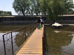 -东方巨龟苑景区