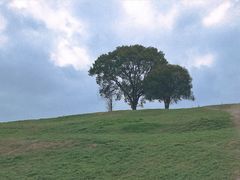-良渚文化村