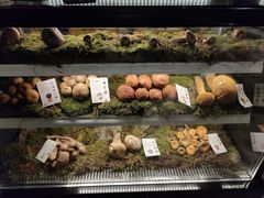 -滇野云南野生菌餐厅(陕西南路店)