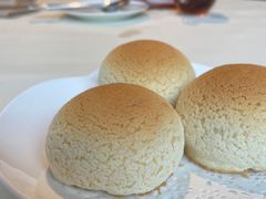 雪顶雄峰-利苑酒家(金宝店)