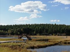 -塞罕坝国家级自然保护区