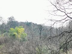 -太湖源风景区