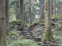 -东天目山风景区