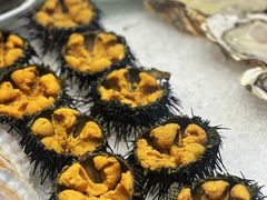 海胆蒸蛋-双合园·海鲜水饺青岛菜(九水东路店)