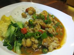馋嘴双椒牛蛙饭-张果佬年糕卷(科巷店)