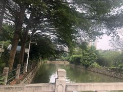 -晓港公园