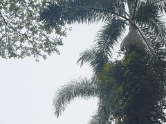 -云溪植物园
