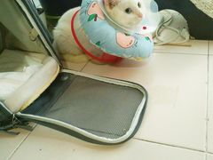 -北京赛佳动物医院