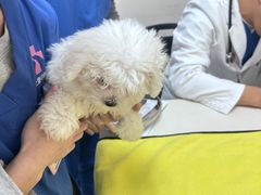 -全心全意动物诊疗中心医院(北苑店)
