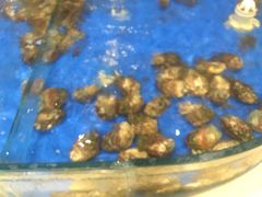 -蒸上鲜海鲜蒸汽蒸菜主题餐厅(高新店)