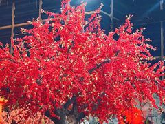 -宝丽金大酒店·洗浴中心