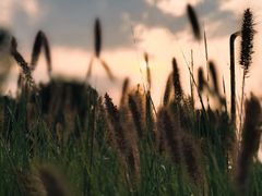 -汉长安城未央宫国家考古遗址公园