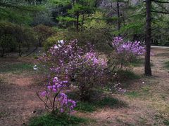 -国家植物园南园