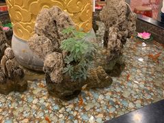 -万荣烤鸭店·北京菜(天坛店)