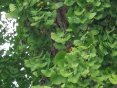 -金堂县云顶石城风景区