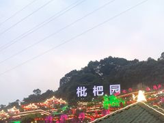-枇杷园食为鲜火锅(南山店)