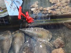 -天盛海鲜烧烤大排档·本地小海鲜·牟平腿穗子(幸福店)