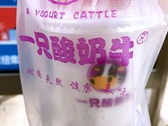 -一只酸奶牛(百联南岸上海城店)