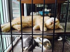 -程记甫胡辣汤(总店)