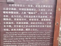 -庐山风景区花径公园