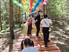 -苏木山森林公园