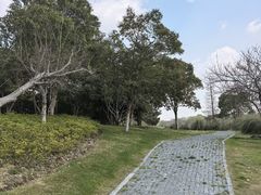 -贡湖湾湿地公园