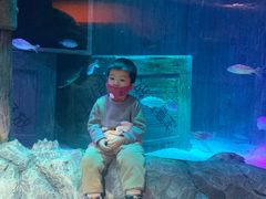 -沈阳海洋探索中心