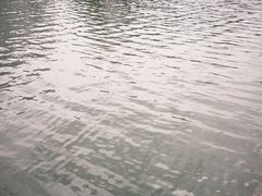 -荔湾湖公园