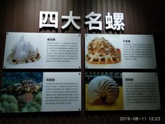 -贝壳王国博物馆